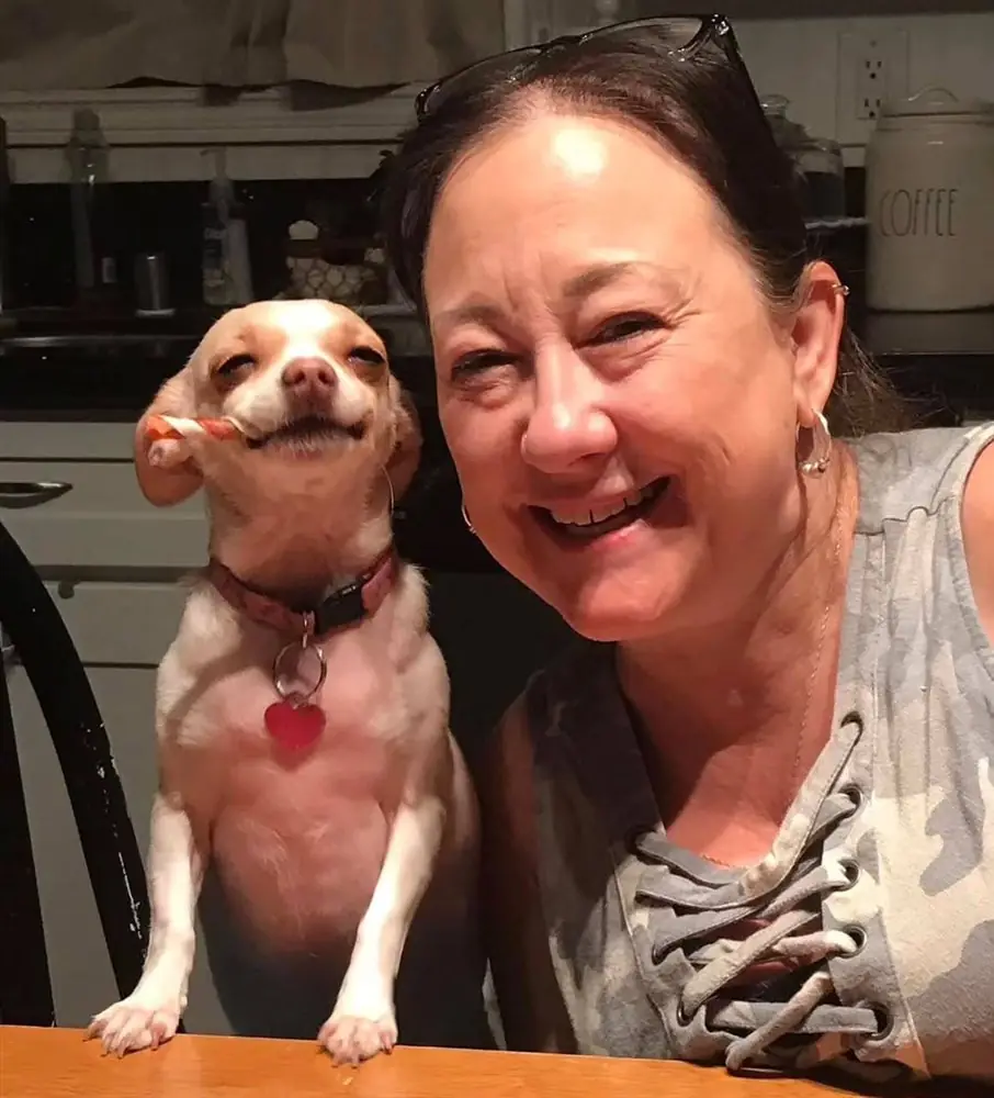 Smiling woman sitting at a table beside a red and white Chihuahua